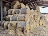 Agripellets (straw) 24-120 ton / month from Poland - фото 4