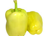 Bell Pepper - photo 1