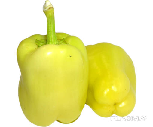 Bell Pepper