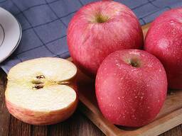 Best Apples, Fuji and Gala apples, Best market price , all sizes