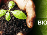 Biohumus / Vermicompost / Natural fertilizer - photo 1