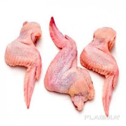 Chicken Wings in wholesale price