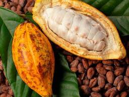 Cocoa For Sale