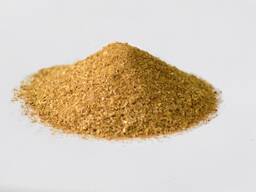 Corn DDGS