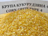 Corn grits #4, #5, extra - фото 1