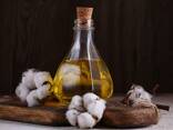 Cottonseed Oil - фото 1