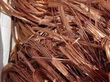 Copper Wire Scrap 99.99% / TOP QUALITY 100% Copper Wire Scrap - photo 3