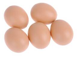 Farm Chicken Table Eggs Brown and White Fresh Eggs / Factory Price Chicken Eggs