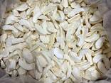 Freeze dried fruits wholesale - фото 7