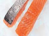 Fresh Salmon Fish / Salmon From Norway - 100% Export Quality Salmon Fish / Salmon fillet