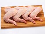 Halal Frozen Chicken, Thigh, Back quarter, Wings , Fillet IPBF , IQF, BF. Ukraine - фото 3