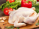 Halal Frozen Chicken, Thigh, Back quarter, Wings , Fillet IPBF , IQF, BF. Ukraine !! - фото 1