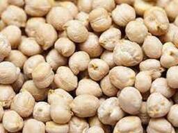 "Healthy dried green chickpeas brown garbanzo beans kabuli chick