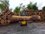 Kiln Firewood Dried Quality Firewood/Oak Fire Wood/Beech/Ash/Spruce//Birch Firewood