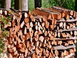 Kiln Firewood Dried Quality Firewood/Oak Fire Wood/Beech/Ash/Spruce//Birch Firewood - photo 6