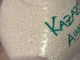 Mineral fertilizers - фото 1