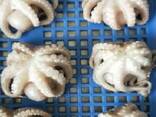 Мороженные морепродукты и рыба в Данию от завода из Китая - фото 6