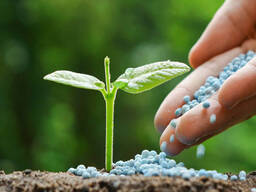 Nitrogen fertilizer plant Urea NPK compound fertilizers for sale