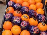 ORANGE WASHINGTON - photo 1