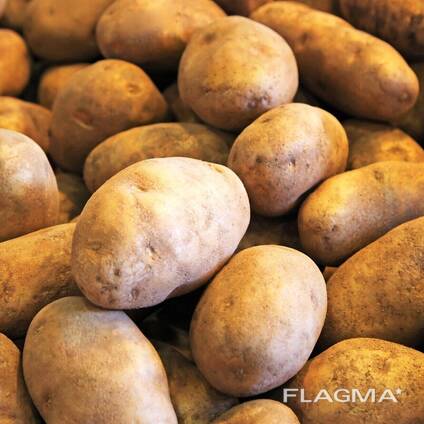 Potatoes
