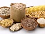 Продажа разных зерновых культур(пшеница, кукуруза, соя и т. д) - фото 1