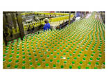 100% Pure refined Sunflower Oil / High Quality Refined Sunflower Oil - фото 2