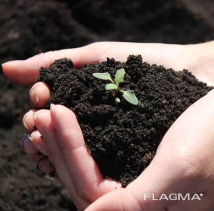 Sapropel fertilizer