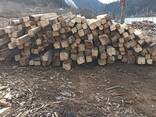 Sell old reclaimed wood spruce pine - фото 1