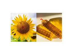 Sunflower oil