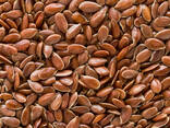 We sell brown flax. - фото 1