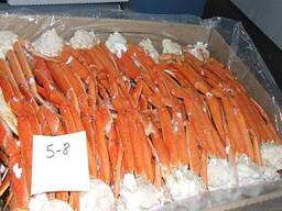 Whole red live king crab hot sale / best quality frozen whole swimming crab offer