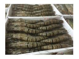 Wholesale Black Tiger Shrimp