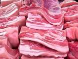 Wholesale supply of frozen pork meat from spain - photo 2