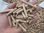 Wood Pellets - фото 1