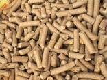 Wood Pellets - фото 1