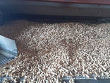 Wood pellets granules for burning The manufacturing company from Ukraine offers high-quali - фото 3