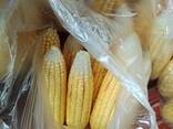 Yellow Corn - фото 1