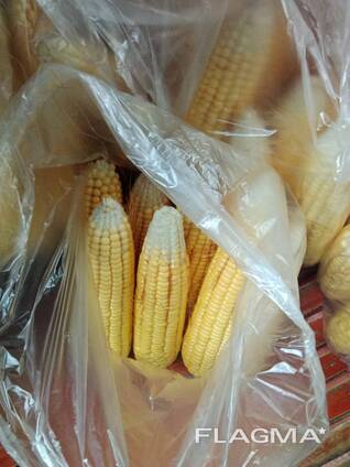 Yellow Corn
