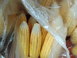 Yellow Corn