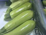 ZUCCHINI - фото 1